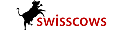 Swisscows moteur de recherche